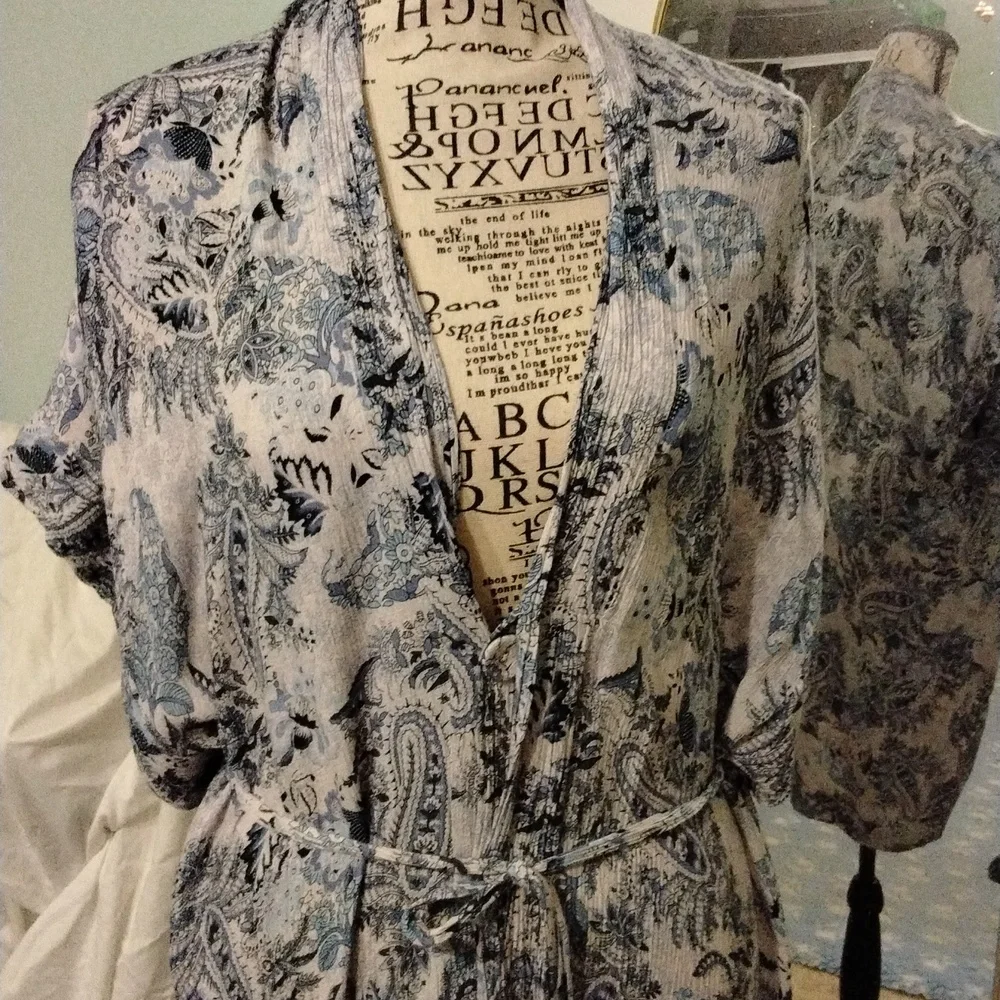 Women's EUC Vici Blue Paisley top/dress/caftan hi- low button front  Sz L - Picture 2 of 5